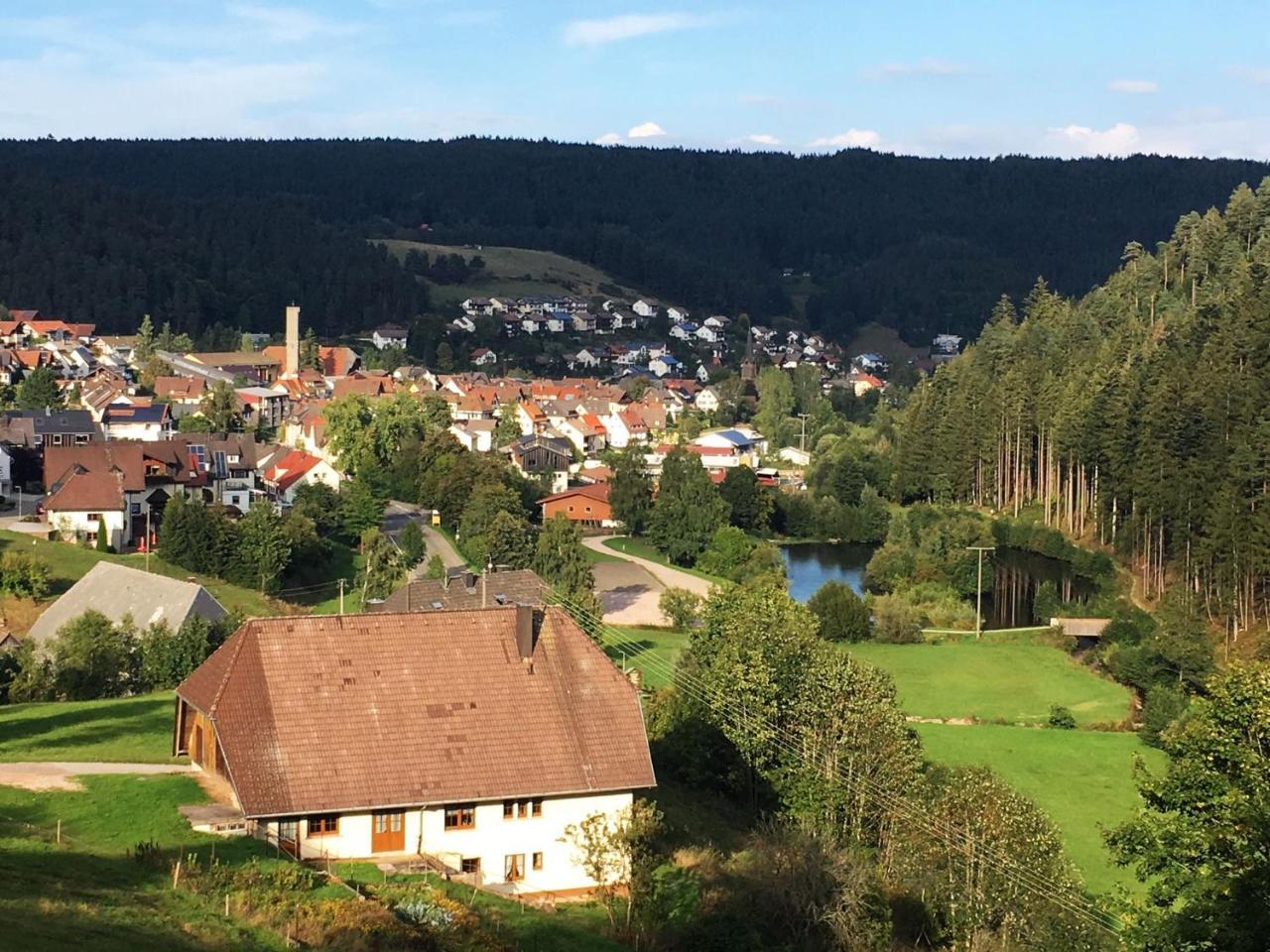 Schwarzwaldgasthaus Linde Schramberg Exterior photo