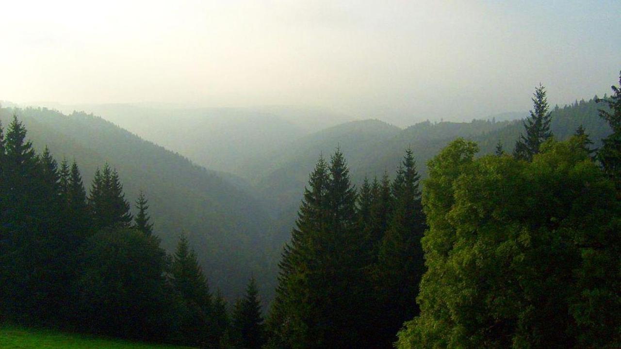 Schwarzwaldgasthaus Linde Schramberg Exterior photo