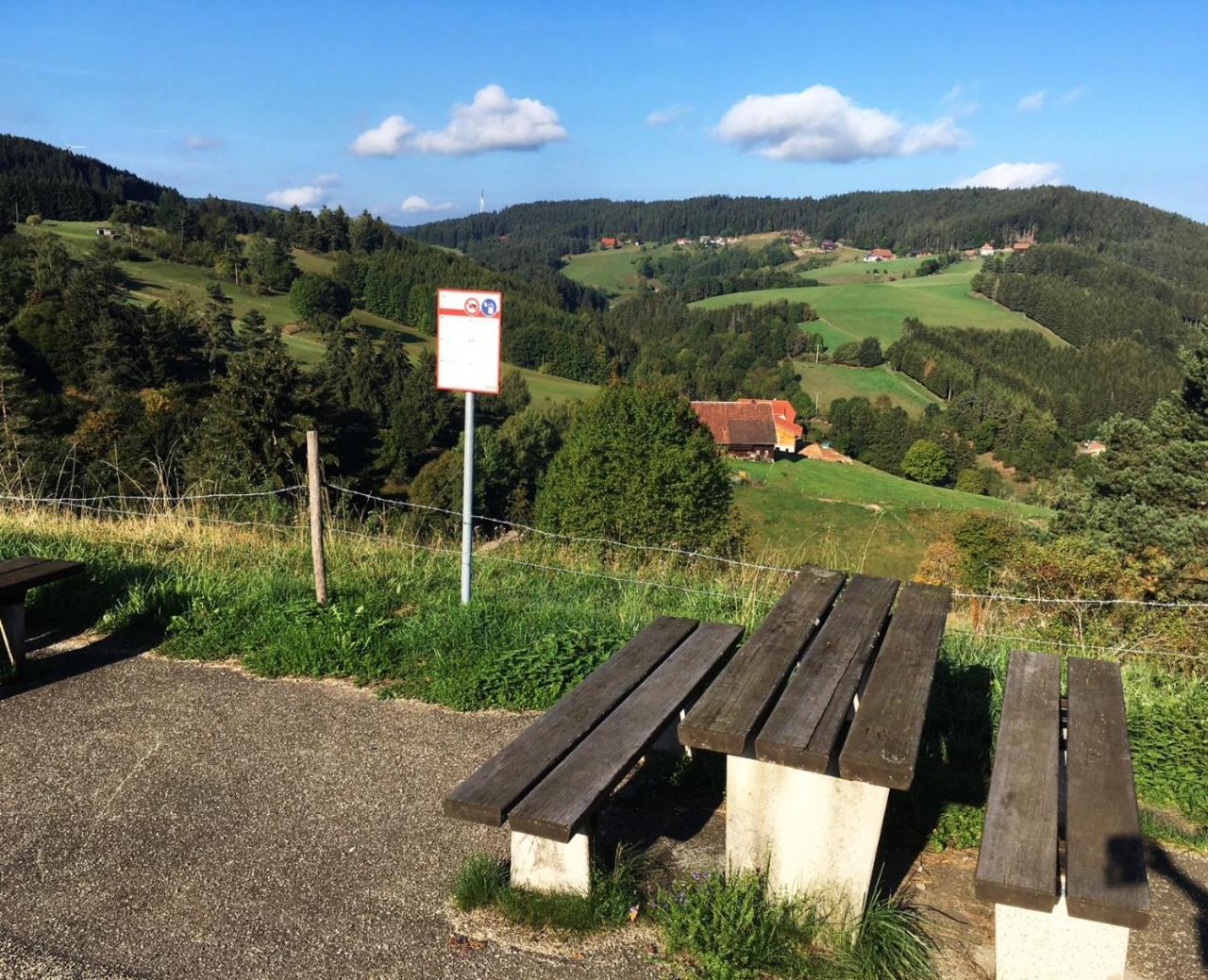 Schwarzwaldgasthaus Linde Schramberg Exterior photo